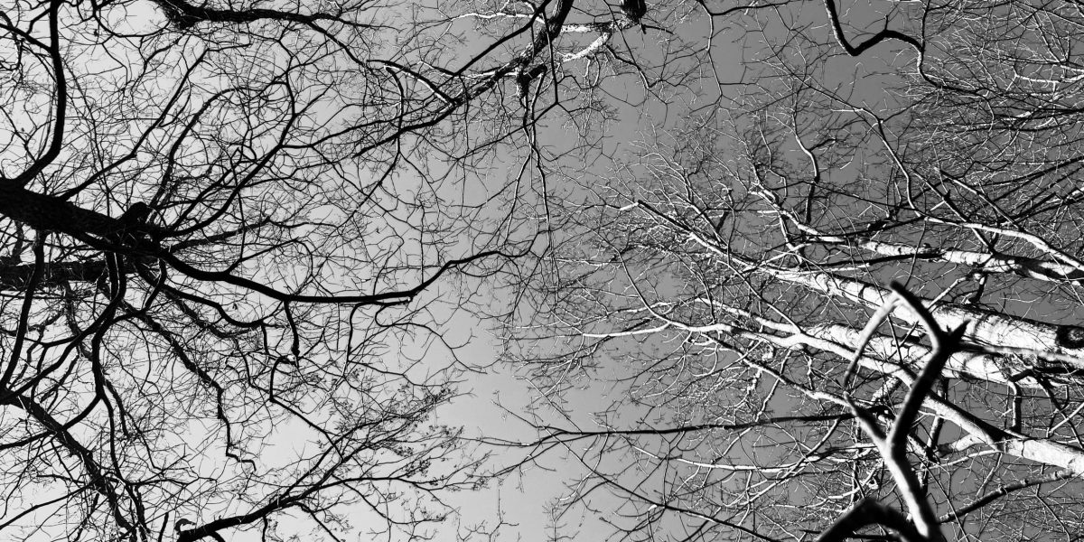 Are Current Events Making Their Way Into Your Classroom? How?