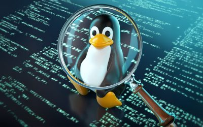 De-ce-este-Kubuntu-26.04-LTS-una-dintre-cele-mai-asteptate-lansari-Linux-din-2026.jpg - JurnalUrban