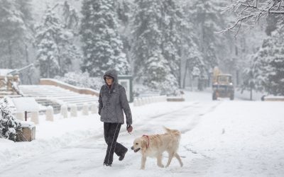 FB1A9678.jpg - JurnalUrban