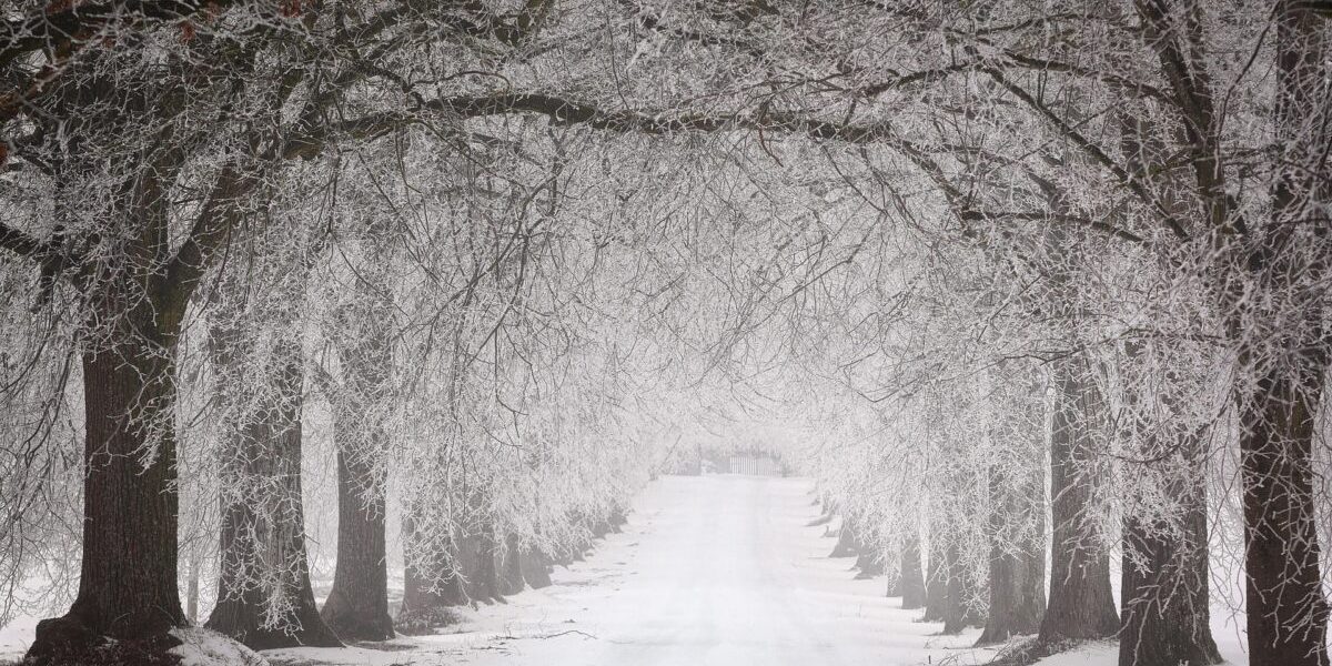 Vremea în februarie. ANM avertizează că poate fi o lună imprevizibilă, cu contraste și variații termice importante