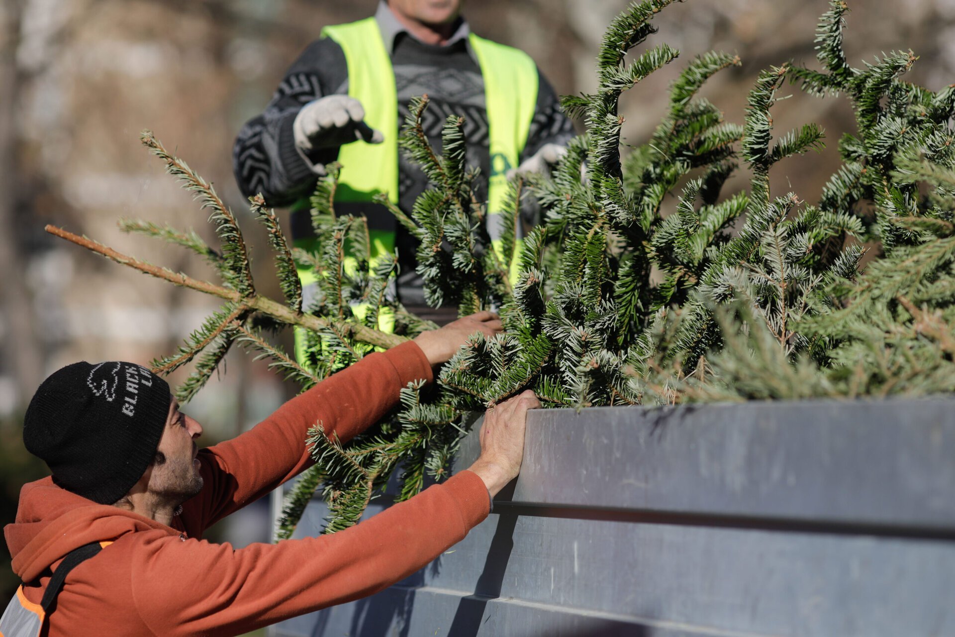 Sectorul 2 și Sectorul 6 lansează campanii de colectare a brazilor de Crăciun, facilitând reciclarea și reducerea impactului asupra mediului După sărbători, gestionarea deșeurilor devine o provocare majoră pentru autoritățile locale, în special în ceea ce privește brazii de Crăciun