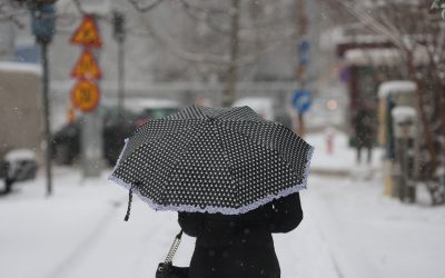 ID330607_INQUAM_Photos_George_Calin-1.jpg - JurnalUrban