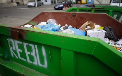 ID65550_INQUAM_Photos_George_Calin-scaled.jpg - JurnalUrban