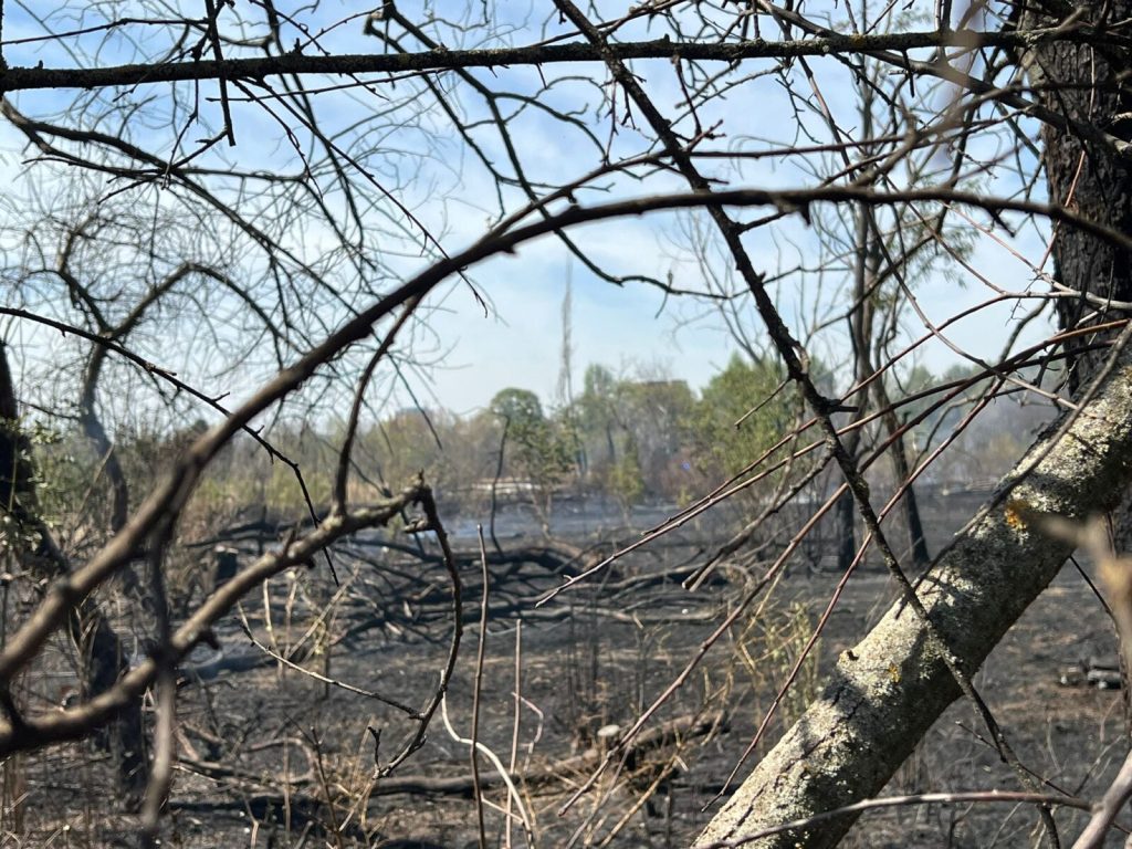 Procesul intentat de Grupul Civic IOR-Titan, care vizează anularea retrocedării celor 12 hectare din Parcul IOR, a fost reluat recent în instanță, după o pauză de câțiva ani