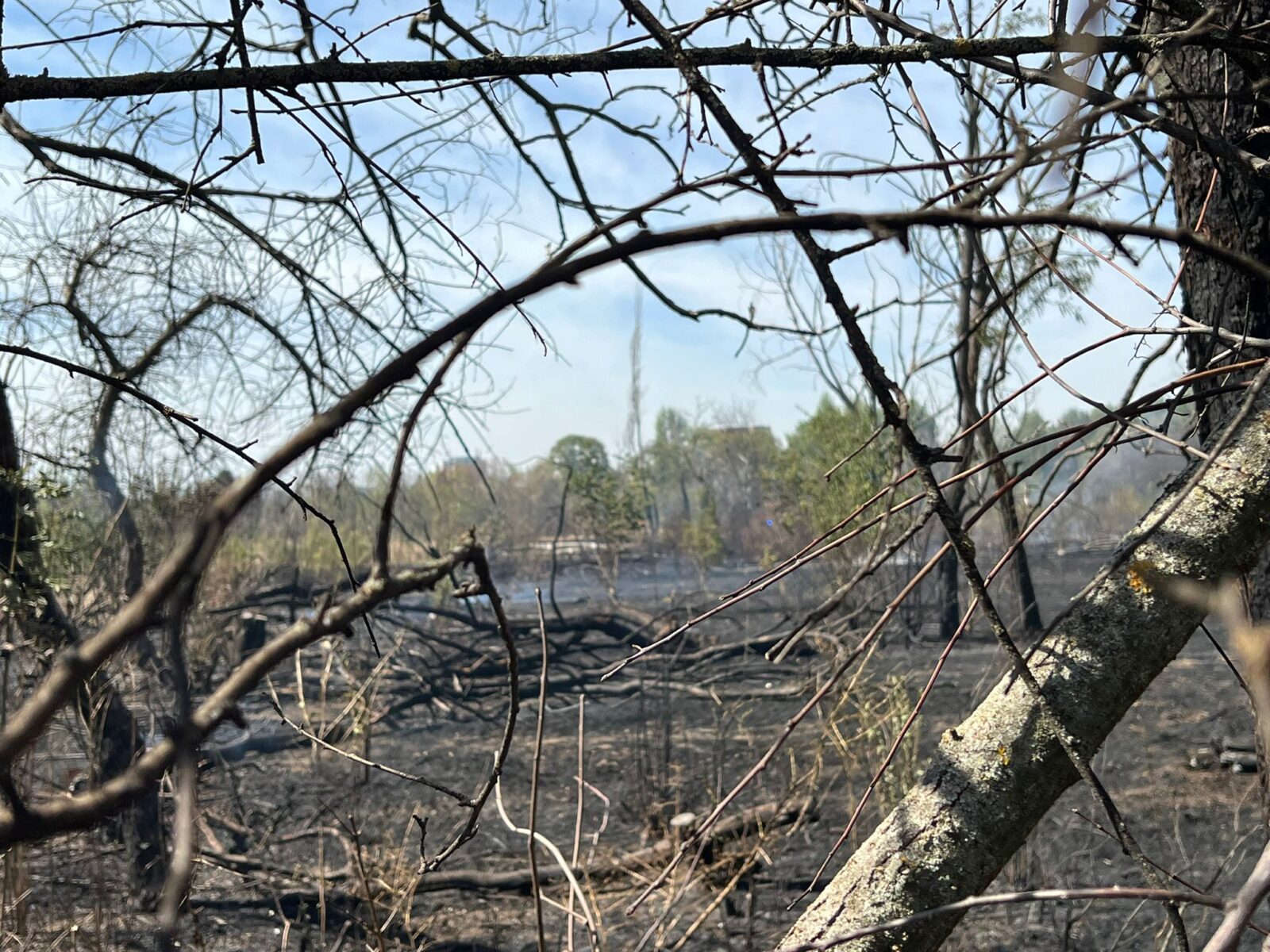 Procesul intentat de Grupul Civic IOR-Titan, care vizează anularea retrocedării celor 12 hectare din Parcul IOR, a fost reluat recent în instanță, după o pauză de câțiva ani
