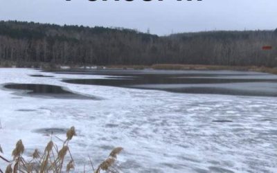 Lacurile-din-Ilfov-inghetate-acces-interzis-a.jpg - JurnalUrban