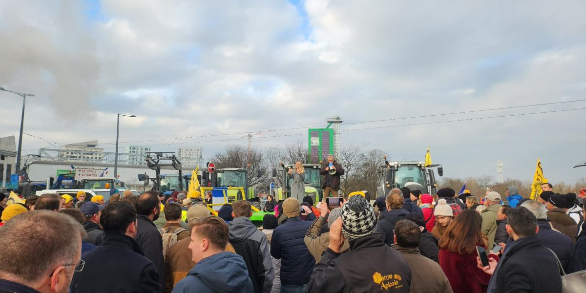 OTg5YTk4MmJmOTcxMGFkZDNmOTE3ODM2NTJjZg.thumb_.jpg - JurnalUrban