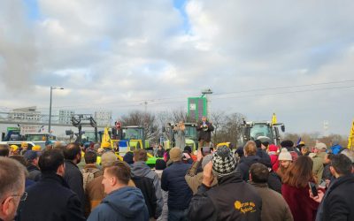 OTg5YTk4MmJmOTcxMGFkZDNmOTE3ODM2NTJjZg.thumb_.jpg - JurnalUrban