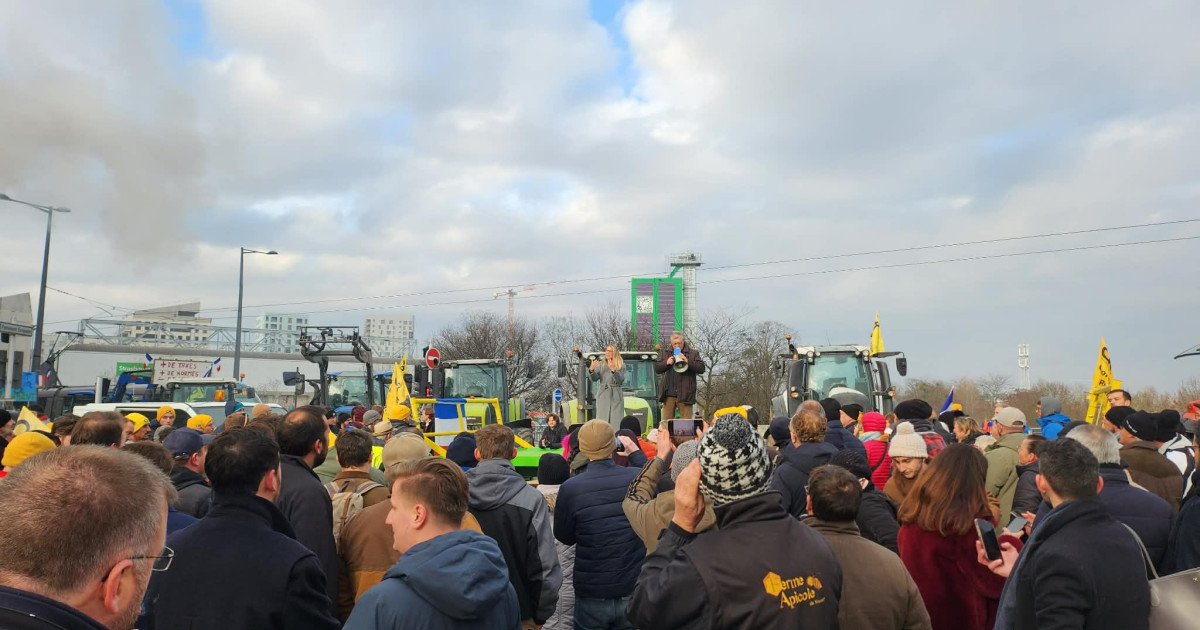 Fermieri români participă, marți, la Strasbourg, la un protest masiv împotriva Acordului Mercosur, alături de colegii lor din întreaga Uniune Europeană