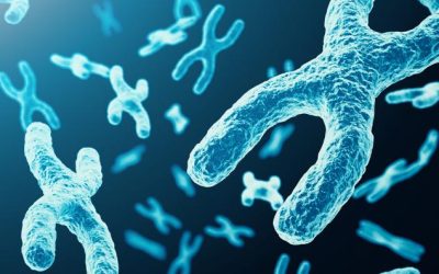 More Upside Potential for 2026?