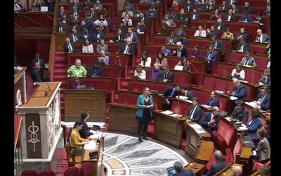 Parlament-Franta.jpg - JurnalUrban