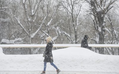 Vortexul Polar pe punctul de a se prăbuși în februarie. Europa poate primi un val de frig consistent. Iată fereastra „periculoasă”