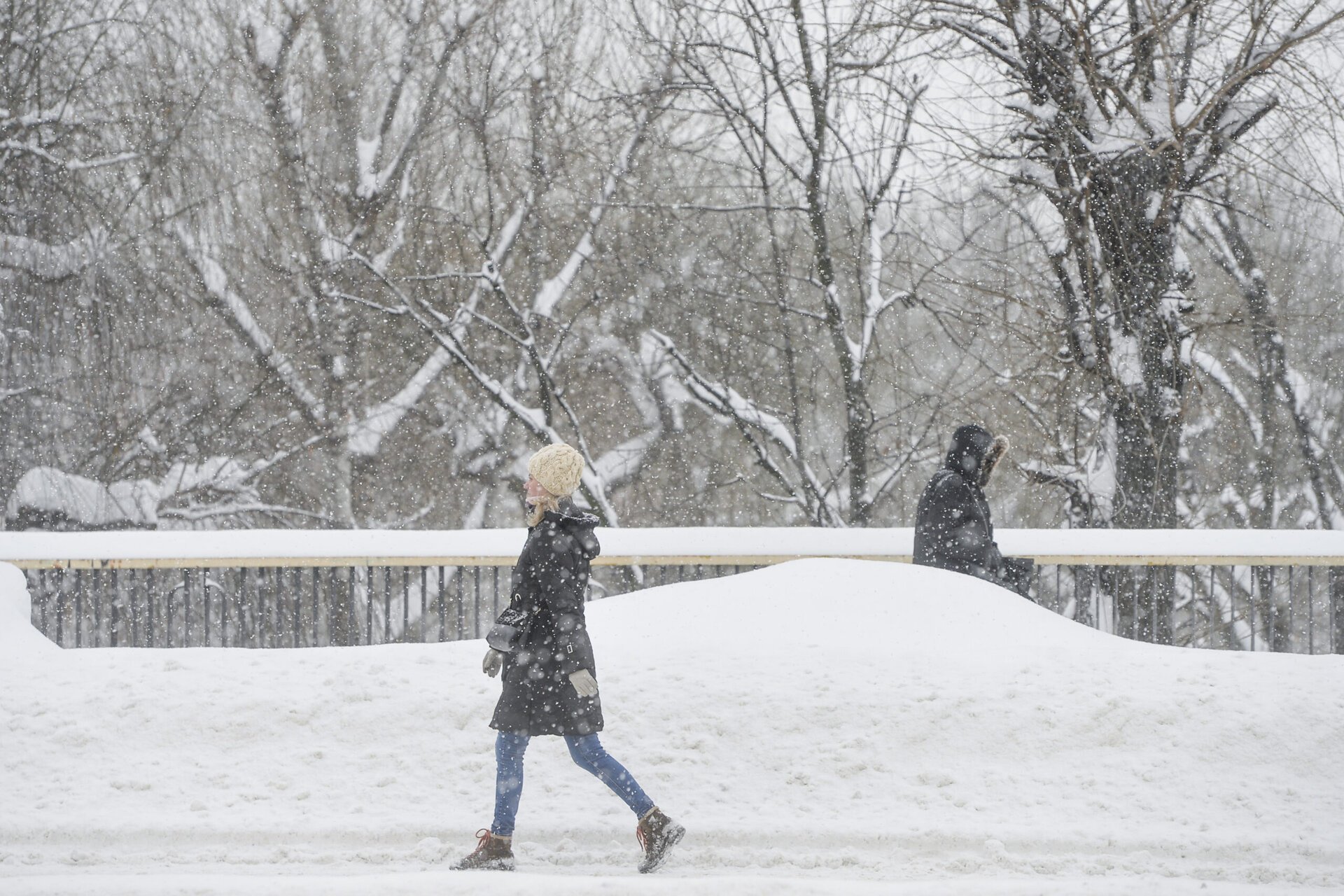 Vortexul Polar pe punctul de a se prăbuși în februarie. Europa poate primi un val de frig consistent. Iată fereastra „periculoasă”