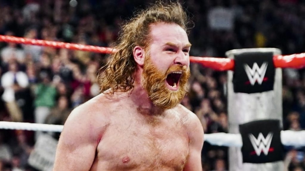 SEScoops Logo - WWE Wrestling News