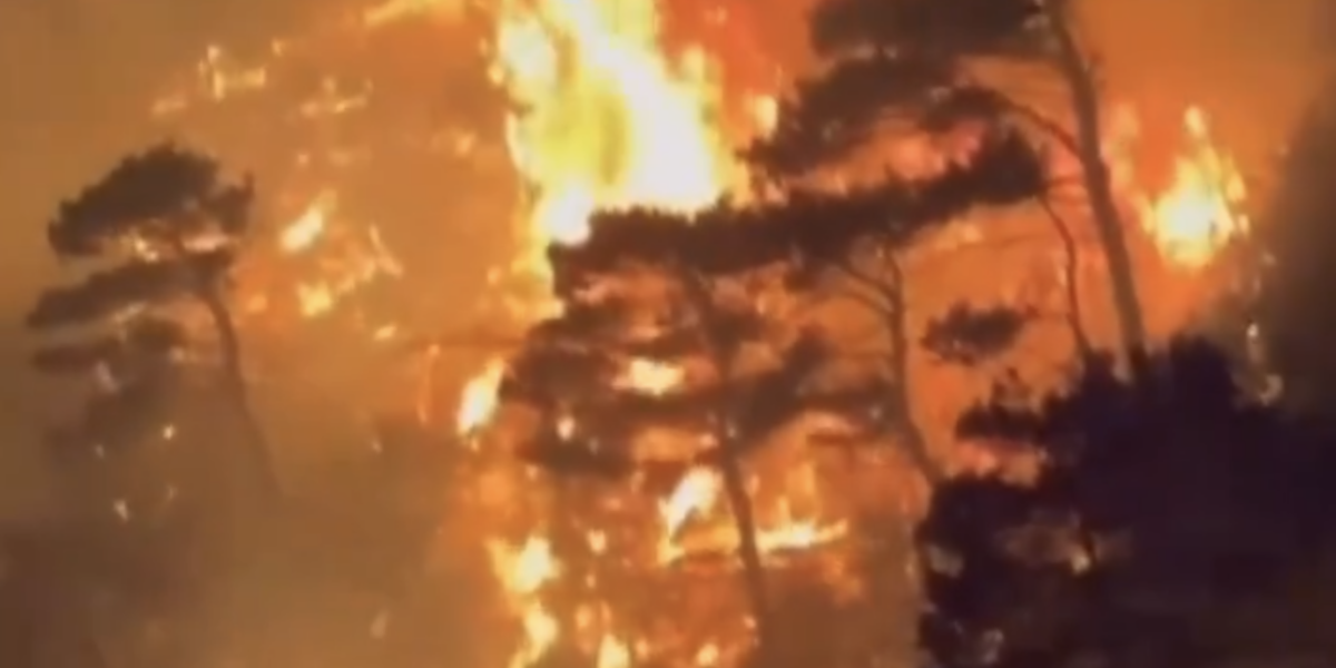 Screenshot-2024-07-10-at-22.52.14.png - JurnalUrban