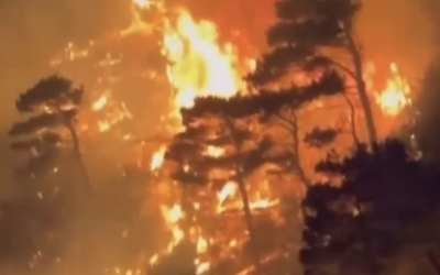 Screenshot-2024-07-10-at-22.52.14.png - JurnalUrban