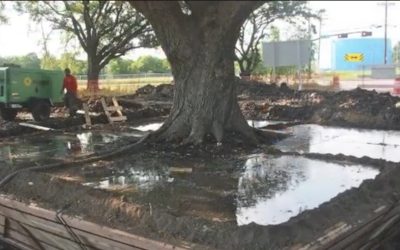 Taiat.jpg - JurnalUrban