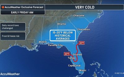 Florida weather saw freezing temperatures. See how cold it got