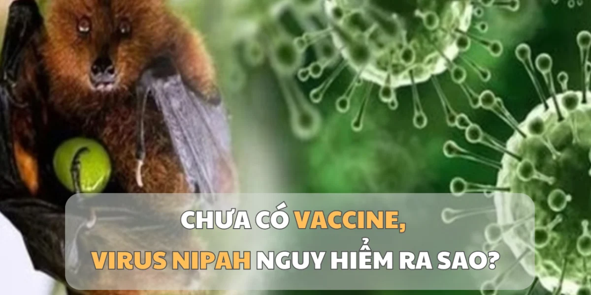 Vietnam.vn - Nền tảng quảng bá Việt Nam