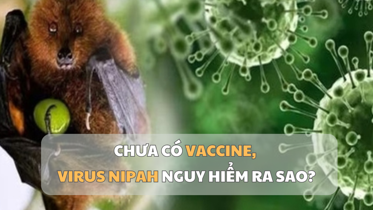Vietnam.vn - Nền tảng quảng bá Việt Nam