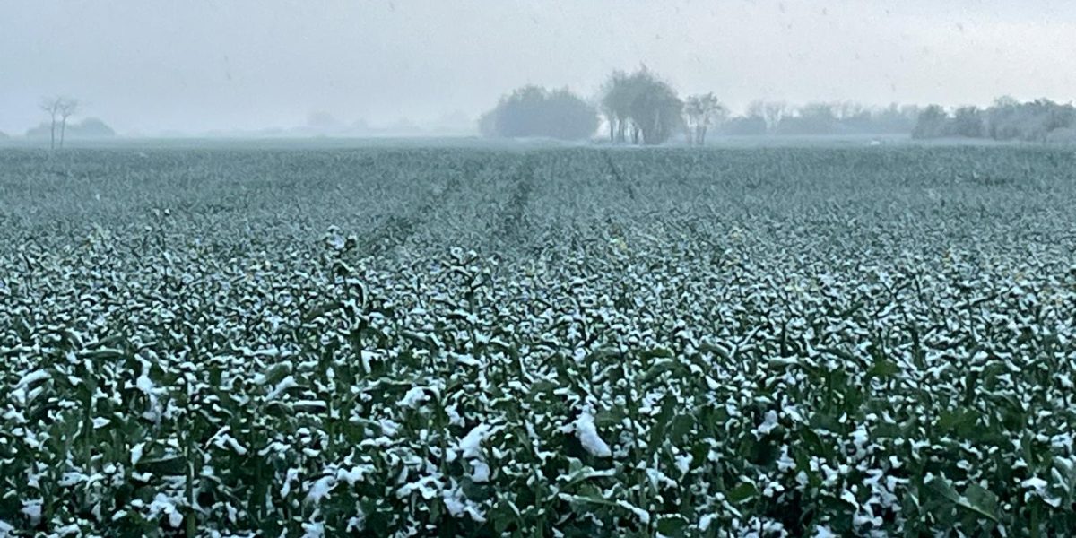 WhatsApp-Image-2025-04-07-at-19.45.18.jpeg - JurnalUrban