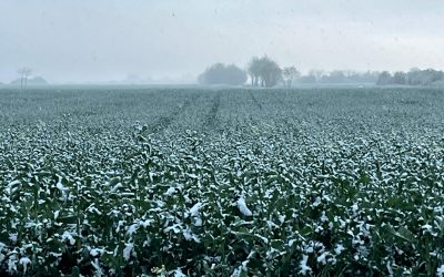 WhatsApp-Image-2025-04-07-at-19.45.18.jpeg - JurnalUrban