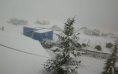 WhatsApp-Image-2025-09-29-at-10.14.41.jpeg - JurnalUrban