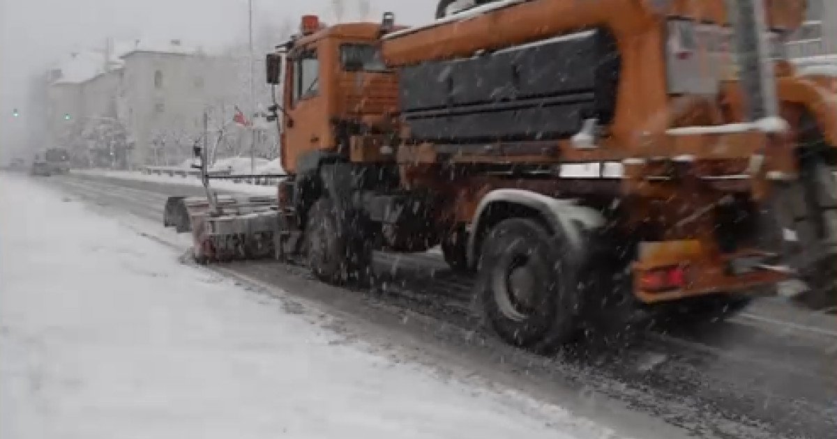Iarnă cruntă: Ninsori masive și viscol ne dau de furcă!