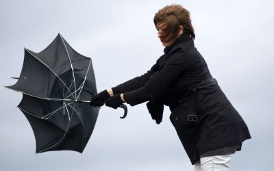 aGFzaD0zNDUyYjgxN2M5Nzk2MDIxODQ2YmEwNDc0ODYzN2MyMg.thumb_.jpg - JurnalUrban