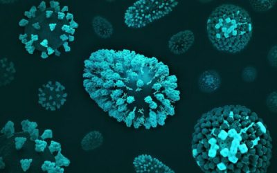 admin-ajax-5-1.jpeg - JurnalUrban