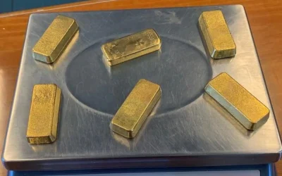 aur-longouri.webp.webp - JurnalUrban