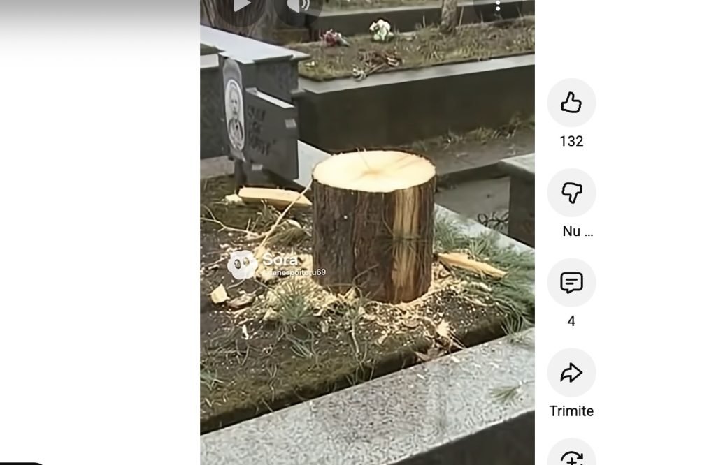 Drăgășani, un oraș din județul Vâlcea, a fost scena unui scandal care a zguduit comunitatea locală cu doar câteva zile înainte de Crăciun
