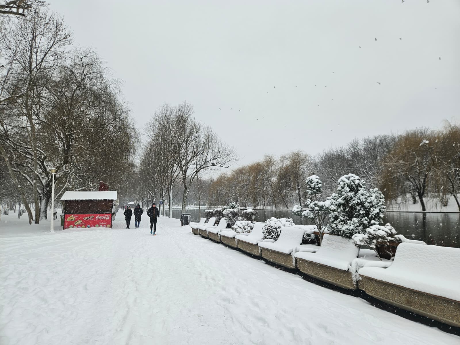 Ninsori consistente la București: prognoza meteo pentru luni angajează stratul de zăpadă.