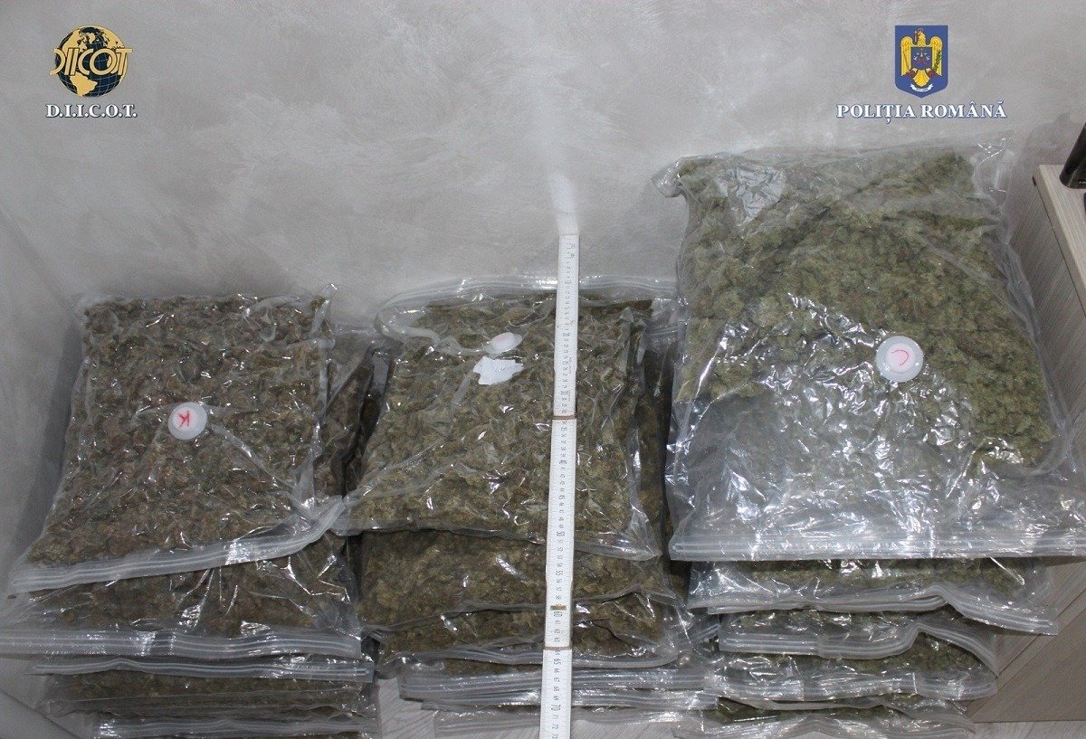 Descoperire majoră în Vrancea: polițiștii au recidivat în lupta împotriva traficului internațional de droguri, confiscând alte 15 kilograme de canabis într-un punct de lucru al unei companii de curierat