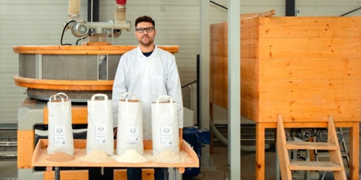 cooperativa-faina.jpg - JurnalUrban