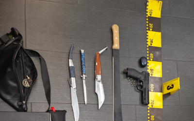 cutite.png - JurnalUrban