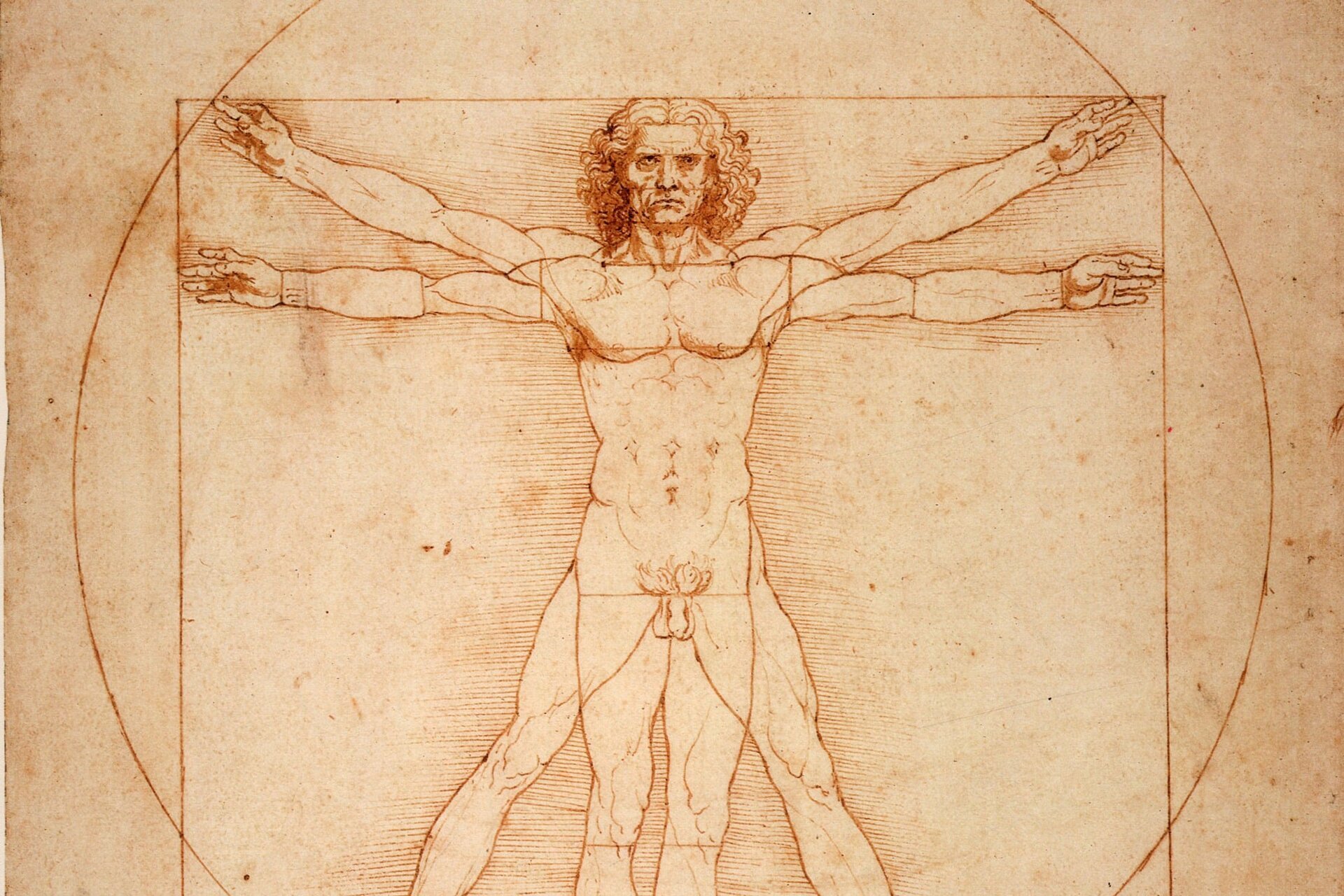 O descoperire care pare ruptă dintr-un roman de cap și-ar putea schimba radical modul în care înțelegem legătura dintre geniul artistic și biologia umană: cercetătorii au anunțat că au reușit să extragă fragmente de ADN din obiecte vechi de peste 500 de ani, asociate cu Leonardo da Vinci