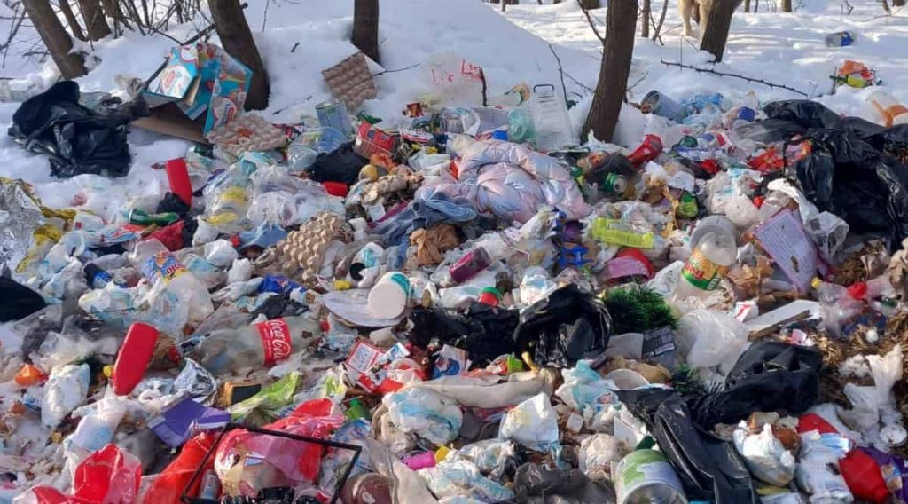 Un incident neobișnuit din județul Alba scoate la iveală problemele legate de gestionarea deșeurilor și comportamentul incorect al unor cetățeni față de mediu