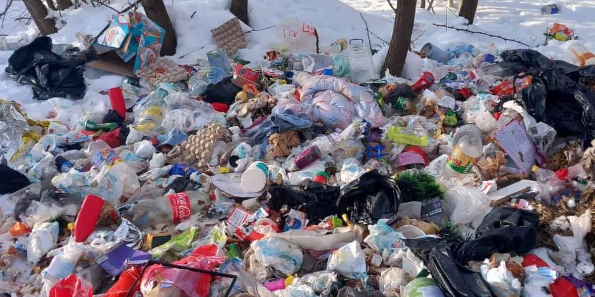 deseuri-spring-6.jpg - JurnalUrban