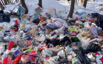 deseuri-spring-6.jpg - JurnalUrban