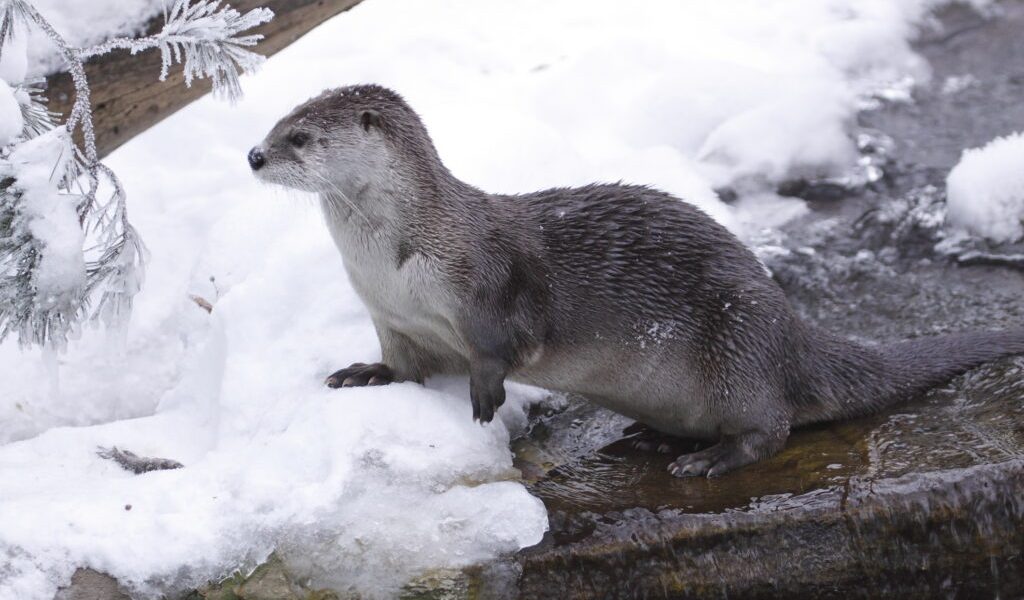 dreamstime_m_17303431-1024x683.jpg - JurnalUrban