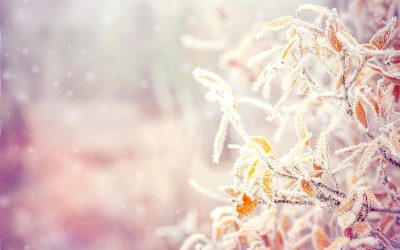 dreamstime_m_46769012.jpg - JurnalUrban