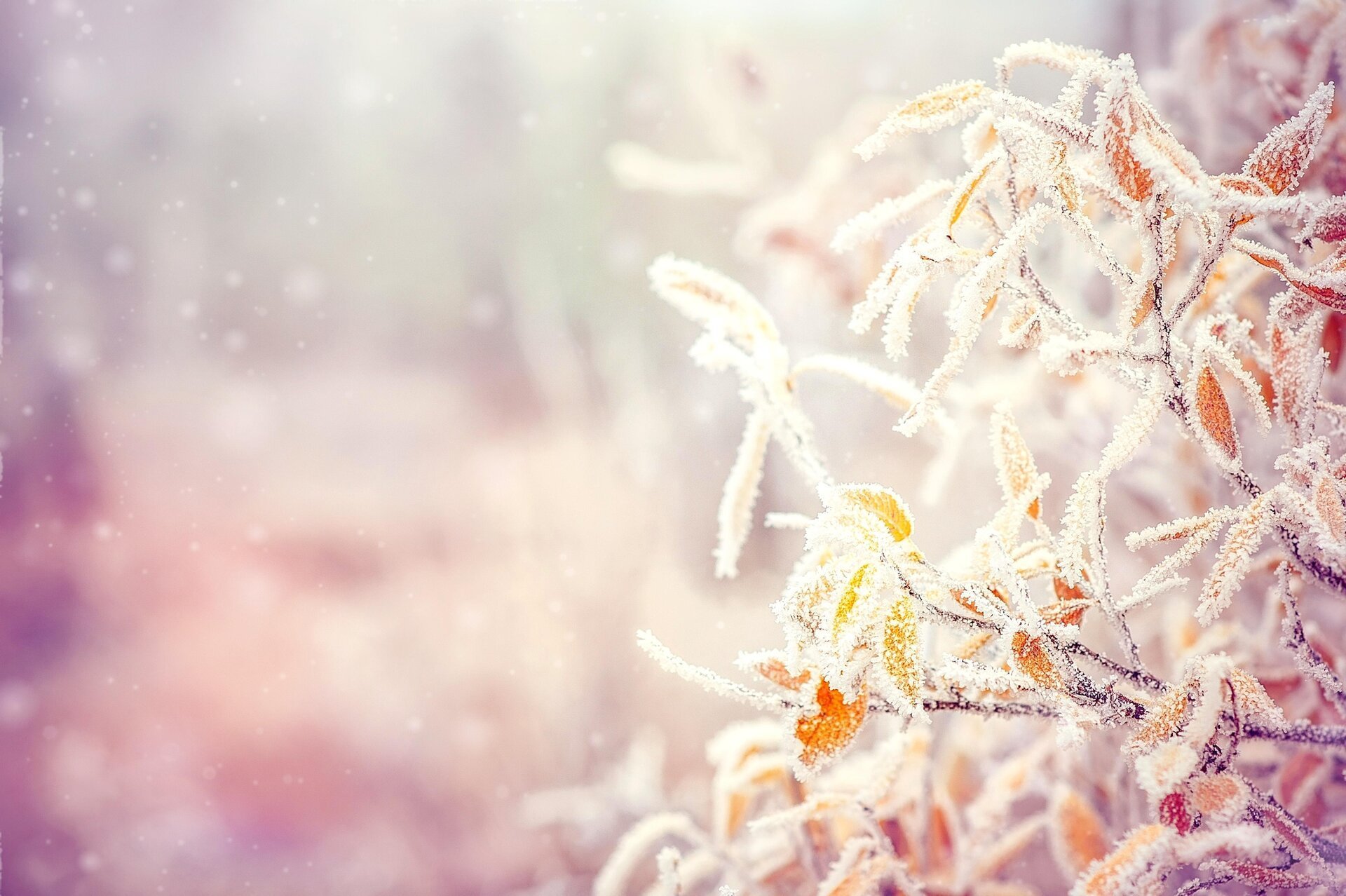 Vreme deosebit de rece pentru aproape jumătate din țară, avertizare meteo emisă pentru weekendul ce se apropie Într-un interval cu temperaturi scăzute semnificative, o parte importantă a teritorialului României intră sub incidența unor avertizări meteo de tip Cod galben, anunțate de Administrația Națională de Meteorologie (ANM)
