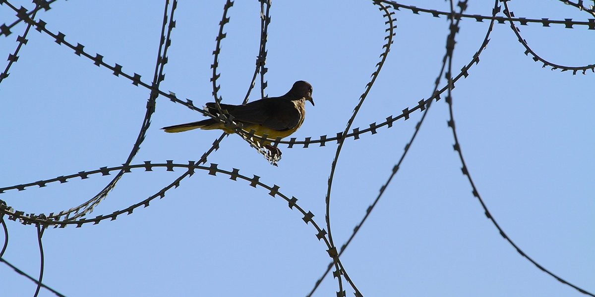 dreamstime_m_64982902.jpg - JurnalUrban