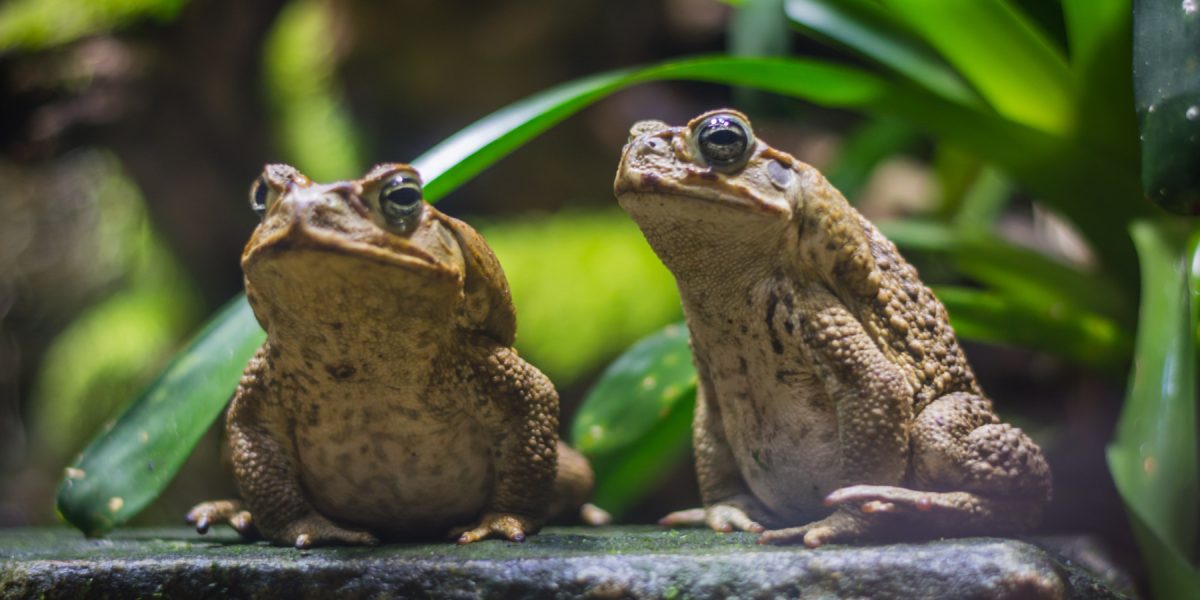 dreamstime_xl_123690325.jpg - JurnalUrban