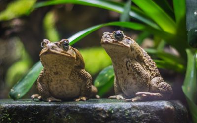 dreamstime_xl_123690325.jpg - JurnalUrban