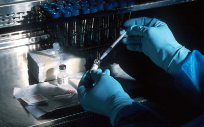 genetica.jpg - JurnalUrban