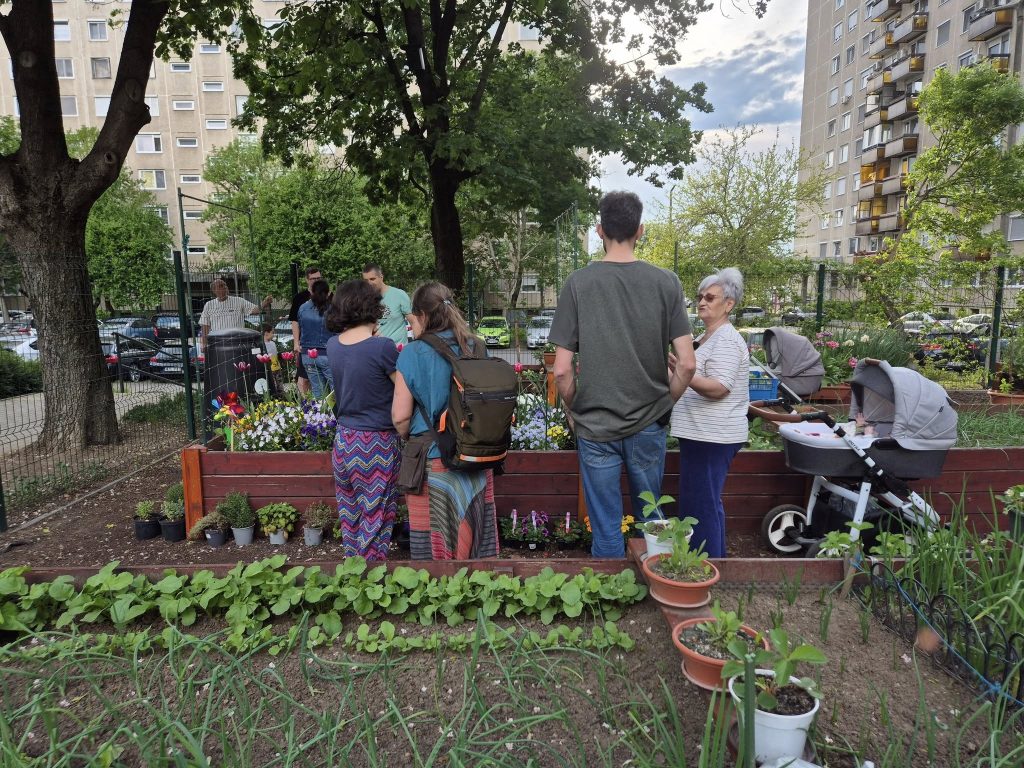 Inițiativă civică în București: cere legalizarea grădinilor comunitare pe domeniul public Zeci de organizații și grupuri civice din întreaga țară solicită autorităților locale să permită și să legalizeze grădinile comunitare pe domeniul public, o practică comună în multe orașe europene, dar încă interzisă în România