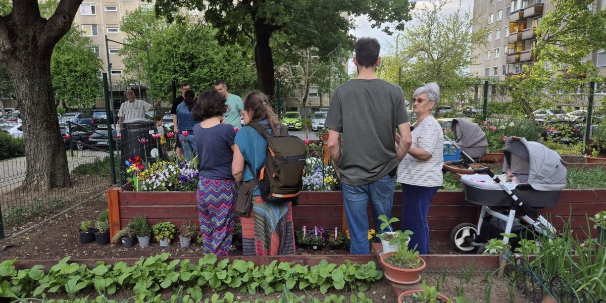 gradinile-comunitare1-debrecen.jpg - JurnalUrban