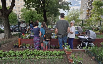 gradinile-comunitare1-debrecen.jpg - JurnalUrban